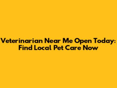 Veterinarian Near Me Open Today: Find Local Pet Care Now