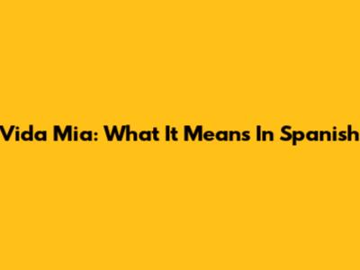 Vida Mia: What It Means In Spanish