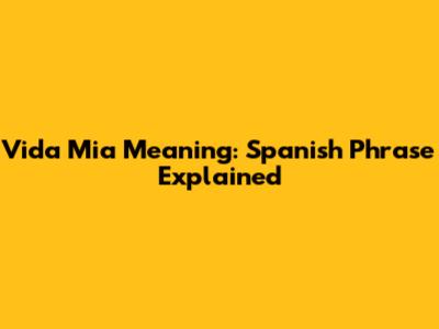 Vida Mia Meaning: Spanish Phrase Explained