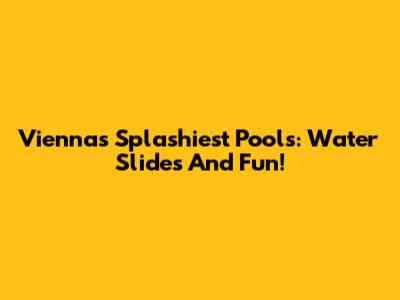 Vienna's Splashiest Pools: Water Slides And Fun!
