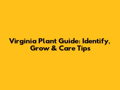 Virginia Plant Guide: Identify, Grow & Care Tips