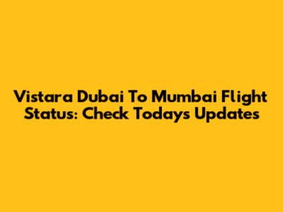 Vistara Dubai To Mumbai Flight Status: Check Today's Updates