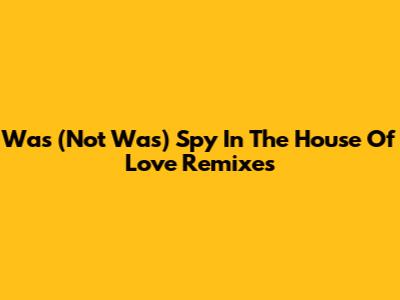 Was (Not Was) Spy In The House Of Love Remixes