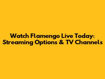 Watch Flamengo Live Today: Streaming Options & TV Channels