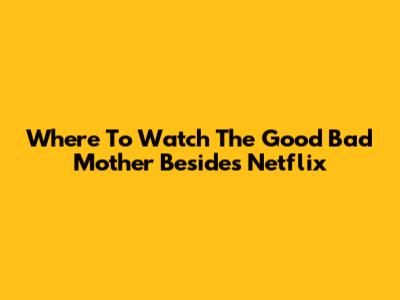 Where To Watch The Good Bad Mother Besides Netflix