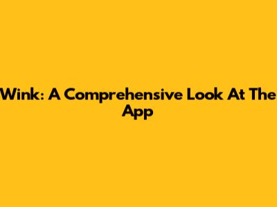 Wink: A Comprehensive Look At The App