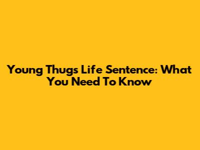 Young Thug's Life Sentence: What You Need To Know