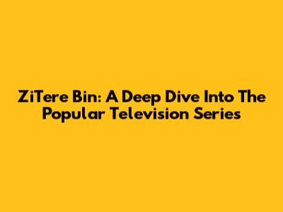 ZiTere Bin: A Deep Dive Into The Popular Television Series